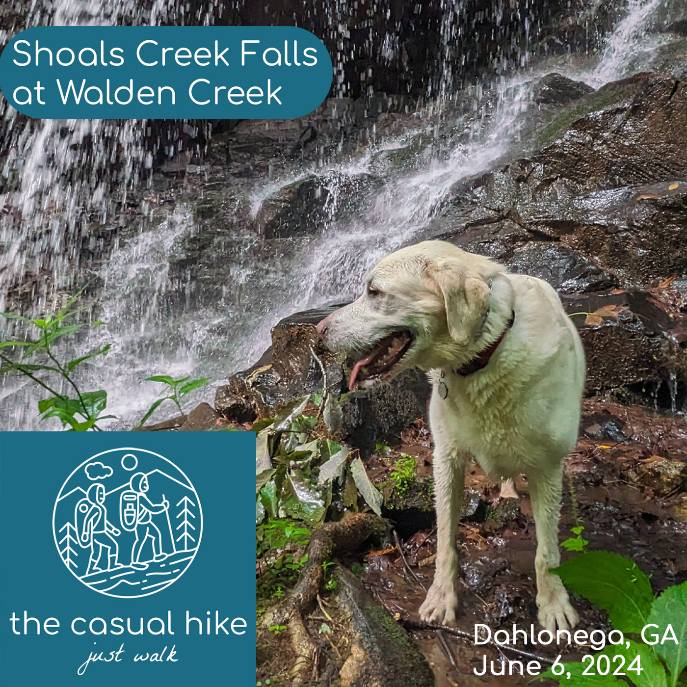 Shoals Falls at Walden Creek – Dahlonega, GA.