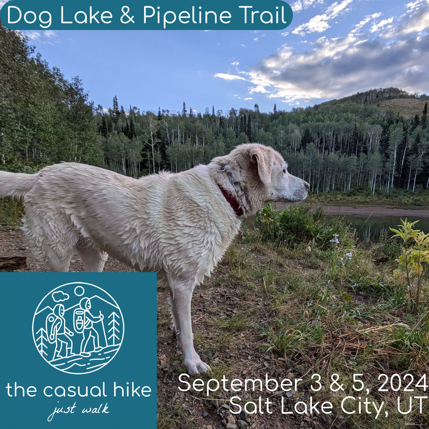 Dog Lake & Pipeline Trail at Millcreek Canyon in Salt Lake City, UT