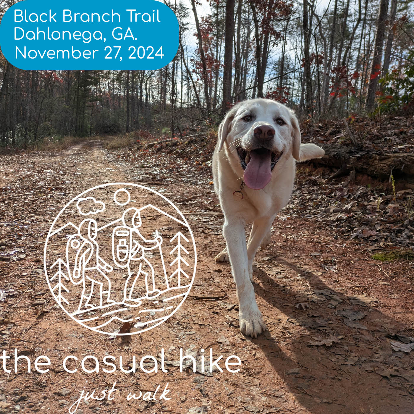 Black Branch Trail – Dahlonega, GA.