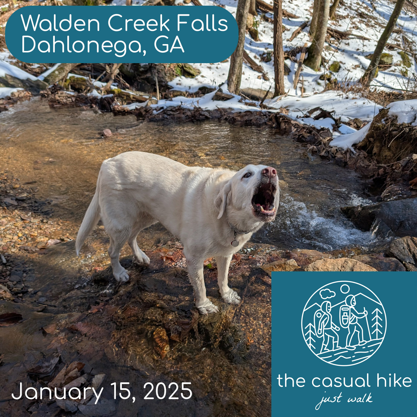 Walden Creek Falls – Dahlonega, GA.